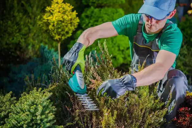 landscaping services Velda City